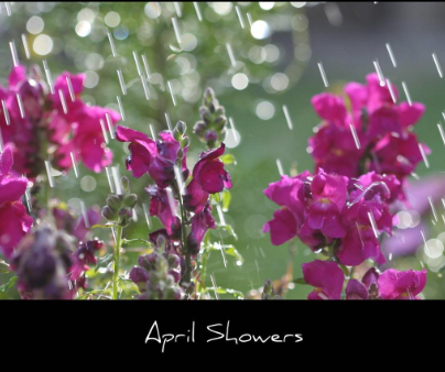 April VIP Signature Series Event: April Showers Candles & Clouds